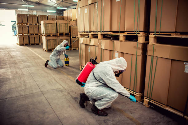 Best Affordable Pest Control Services  in Hortonville, WI